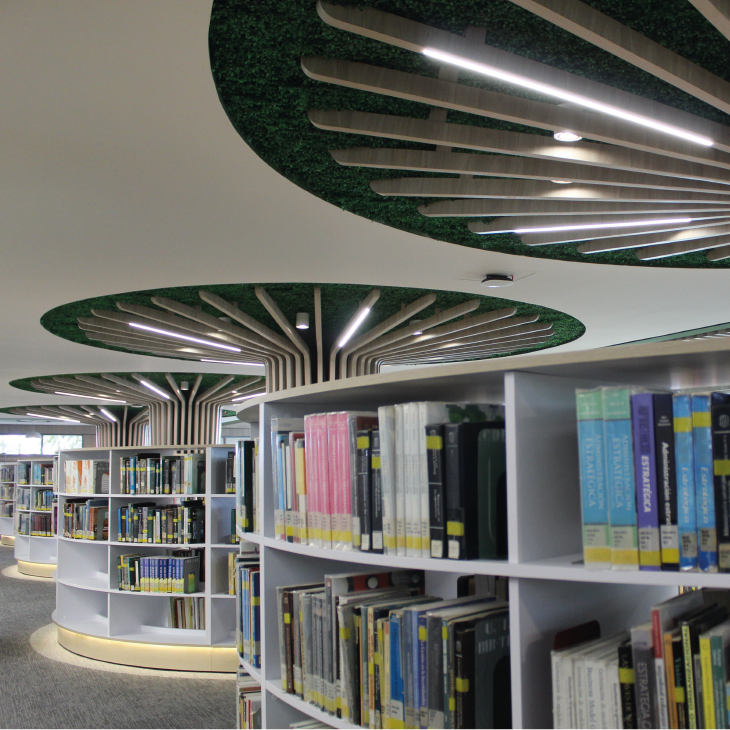 Photograph of the UIS Library showing shelves with books.